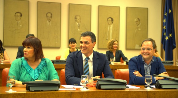 reunion-pedro-con-grupo-parlamentario