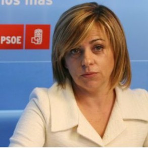 El PSOE subraya que es ya una iniciativa "mundial" y lamenta que el PP no haya e El PSOE subraya que es ya una iniciativa "mundial" y lamenta que el PP no haya entendido su "calado"