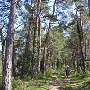 "El uso de los recursos naturales condicionará nuestro futuro" "El uso de los recursos naturales condicionará nuestro futuro"
