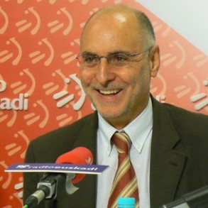 El PSE cree que si se prohíbe la consulta "pasará lo que decida el Gobierno va El PSE cree que si se prohíbe la consulta "pasará lo que decida el Gobierno vasco" porque "prima más Ibarretxe" que el PNV