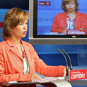 Leire Pajín subraya el esfuerzo del Gobierno para tomar medidas con las que afr Leire Pajín subraya el esfuerzo del Gobierno para tomar medidas con las que afrontar la situación económica