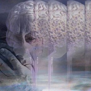 El PSOE subraya el compromiso firme del gobierno socialista con los enfermos El PSOE subraya el compromiso firme del gobierno socialista con los enfermos de Alzheimer