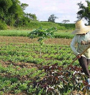 El PSOE afirma que si no hay igualdad en el ámbito rural no hay igualdad real El PSOE afirma que si no hay igualdad en el ámbito rural no hay igualdad real
