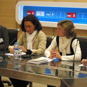 EL PSOE apuesta por seguir trabajando en el camino emprendido por la Ley integra EL PSOE apuesta por seguir trabajando en el camino emprendido por la Ley integral