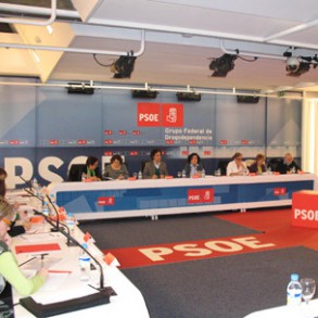 Zerolo anima a los responsables socialistas a aunar esfuerzos en esta materia Zerolo anima a los responsables socialistas a aunar esfuerzos en esta materia