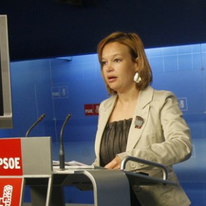 Pajín subraya la voluntad del PSOE de acelerar un acuerdo sobre el dialogo Pajín subraya la voluntad del PSOE de acelerar un acuerdo sobre el dialogo social beneficioso para la economía y para los trabajadores