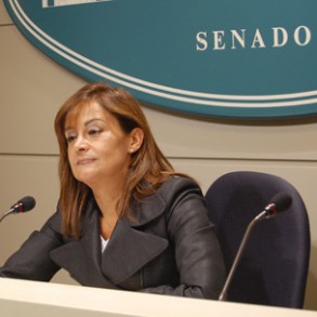 Silva: Al PP solo le preocupa mirarse el ombligo y usar la crisis para atacar Silva: Al PP solo le preocupa mirarse el ombligo y usar la crisis para atacar al Gobierno