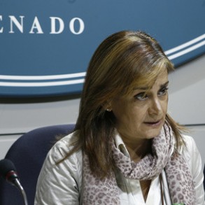Silva: El PP pide reducir el gasto de los PGE y presenta mociones que suman más de 26.000 millones de euros