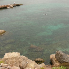 El Gobierno aprueba el Proyecto de Ley del Medio Marino que atiende de forma i El Gobierno aprueba el Proyecto de Ley del Medio Marino que atiende de forma integral la defensa del ecosistema del mar