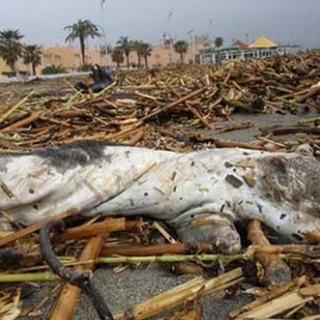 El Gobierno y la Junta acuerdan un plan urgente para reparar infraestructuras y El Gobierno y la Junta acuerdan un plan urgente para reparar infraestructuras y playas