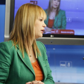 Pajín defiende una reforma laboral que permita crear empleo, de mayor cal Pajín defiende una reforma laboral que permita crear empleo, de mayor calidad y que contribuya al crecimiento económico