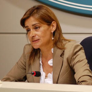 El PSOE pide que se califique a los candidatos al Constitucional para iniciar el El PSOE pide que se califique a los candidatos al Constitucional para iniciar el proceso de renovación