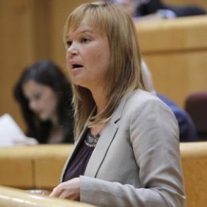 Pajín: "Quienes provocaron la crisis deben contribuir a aliviar las cargas que Pajín: "Quienes provocaron la crisis deben contribuir a aliviar las cargas que soportan los ciudadanos"