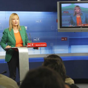 Pajín: Los PGE para 2011 son austeros, sirven para afrontar las reformas Pajín: Los PGE para 2011 son austeros, sirven para afrontar las reformas emprendidas por el Gobierno y preservan el nivel de protección social