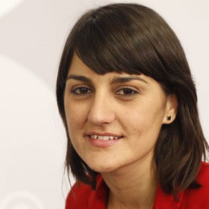 El PSOE solicitará la creación de una subcomisión de Investigación, Desarr El PSOE solicitará la creación de una subcomisión de Investigación, Desarrollo e Innovación en el Congreso