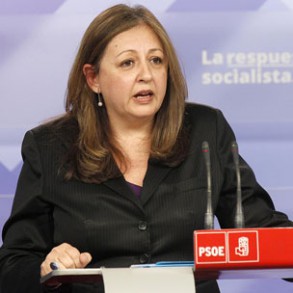 El PSOE exige al Gobierno que adopte la resolución del Consejo de Estado sobre El PSOE exige al Gobierno que adopte la resolución del Consejo de Estado sobre la LOMCE y preserve Educación para la Ciudadanía