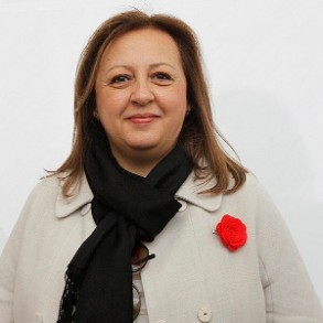 El PSOE exige al Gobierno que retire la modificación de la Ley de Propiedad Int El PSOE exige al Gobierno que retire la modificación de la Ley de Propiedad Intelectual y abra un proceso de diálogo con el sector y las fuerzas políticas