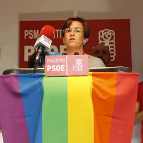 El PSOE reclama a las administraciones gobernadas por el PP colaboración con el El PSOE reclama a las administraciones gobernadas por el PP colaboración con el Orgullo para "construir un país sin discriminación"