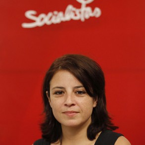 El PSOE exige al Gobierno que suspenda la aplicación de la Reforma Local El PSOE exige al Gobierno que suspenda la aplicación de la Reforma Local
