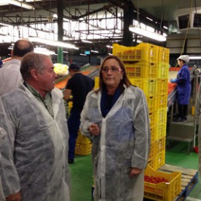 El PSOE recopila las demandas del medio rural para incorporarlas a su programa p El PSOE recopila las demandas del medio rural para incorporarlas a su programa para las próximas elecciones