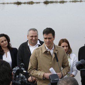 Pedro Sánchez le advierte a Rajoy de que tendrá que dar la cara y dar cuenta Pedro Sánchez le advierte a Rajoy de que tendrá que dar la cara y dar cuentas en el Congreso por la financiación irregular del PP