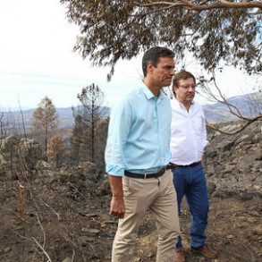 Pedro Sánchez: El problema no es que suframos solo un mal ministro del Interi Pedro Sánchez: El problema no es que suframos solo un mal ministro del Interior, es que sufrimos un mal Gobierno