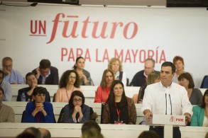 Pedro Sánchez consultará a la militancia si se alcanza un pacto de gobierno Comité Federal 300116