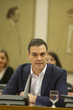 Pedro Sánchez: "Hablar de cambio hoy en España es hablar del PSOE" Pedro Sánchez durante su intervención en el Congreso