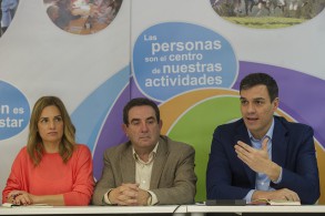 PEDRO SÁNCHEZ pide a Rajoy que “comparezca” en el Congreso para “articula Pedro Sanchez durante su intervención