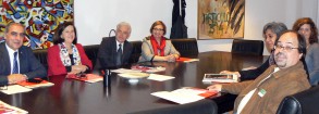 Reunión de sanidad en el Congreso 130416