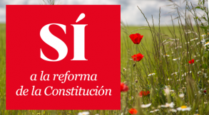 Sí a la reforma de la constitución