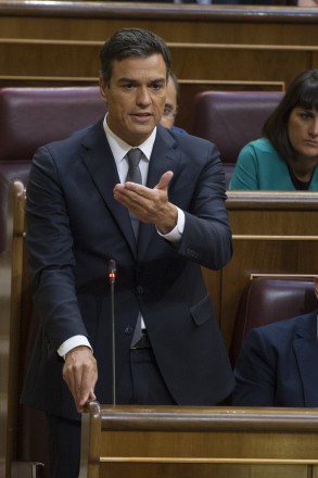Pedro Sánchez: "La responsabilidad de los grupos parlamentarios es ofrecer una Pedro Sánchez 2 020916