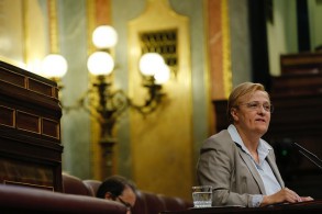 El Congreso aprueba por unanimidad promover un Pacto de Estado para luchar contr Ángeles Álvarez, portavoz socialista de Igualdad
