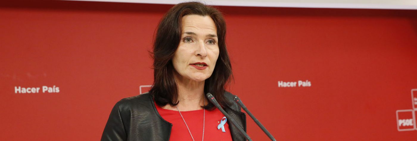 El PSOE denuncia el retroceso de la universidad española por las políticas del martinez-seijo-130418