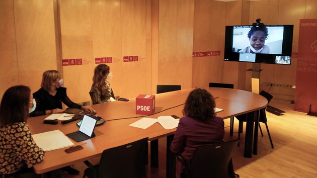 Imagen del encuentro telemático mantenido esta mañana en el Congreso