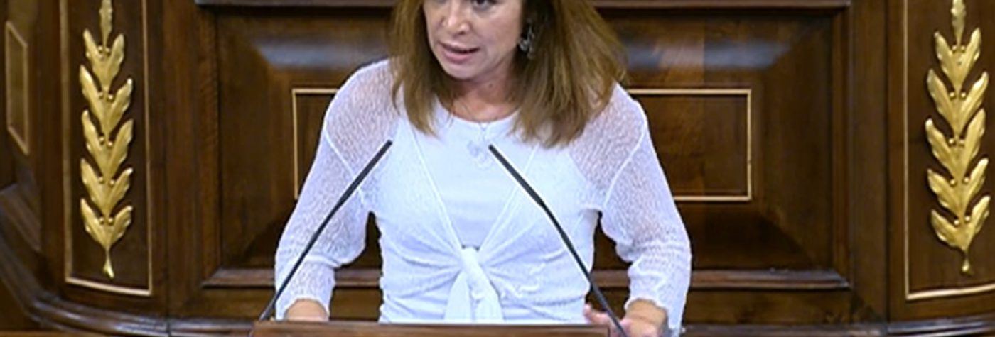 El Congreso rechaza la enmienda a la totalidad de Vox a la Ley de ...