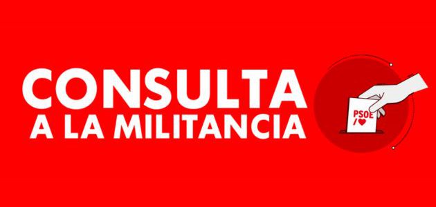 La democracia interna en el PSOE: Un ejemplo de participación ciudadana