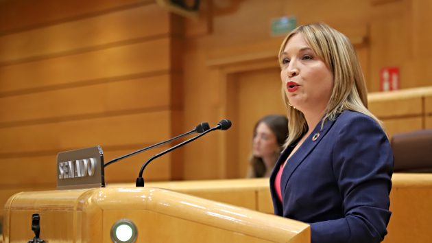 El PP tumba la moción del PSOE para pedir más investigación sobre el ...